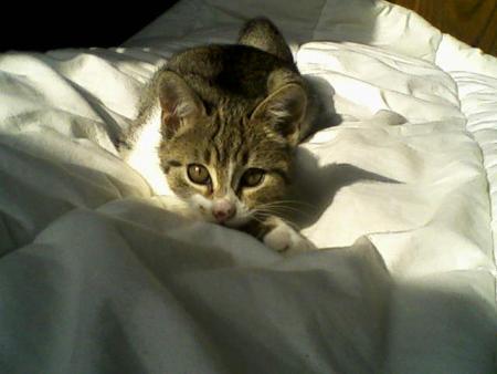 ta de beaux yeux tu sais!